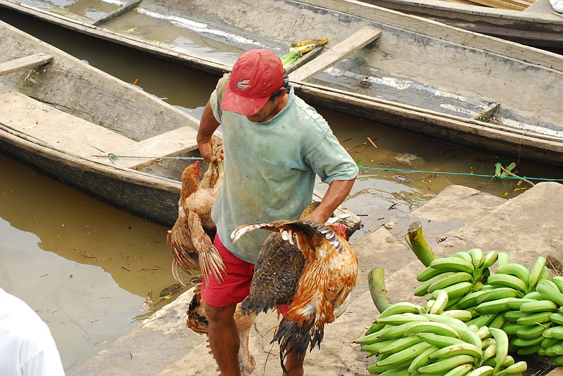 Laura i Astronom_super-137.JPG - Port jest bardzo mały. Ale dzieje się dużo klimaciarstwa. (Zdjęcie: Laura i Astronom)